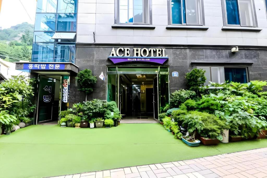 Ace Hotel Ulleungdo Zewnętrze zdjęcie