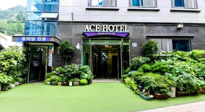 Ace Hotel Ulleungdo Zewnętrze zdjęcie