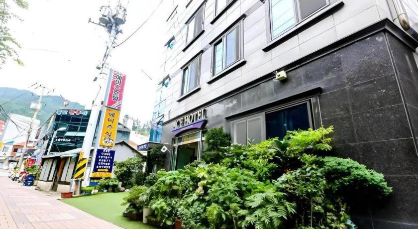 Ace Hotel Ulleungdo Zewnętrze zdjęcie