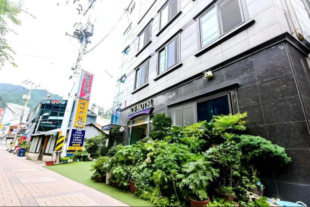 Ace Hotel Ulleungdo Zewnętrze zdjęcie